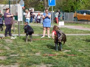 Čarodějnické odpoledne ve školce